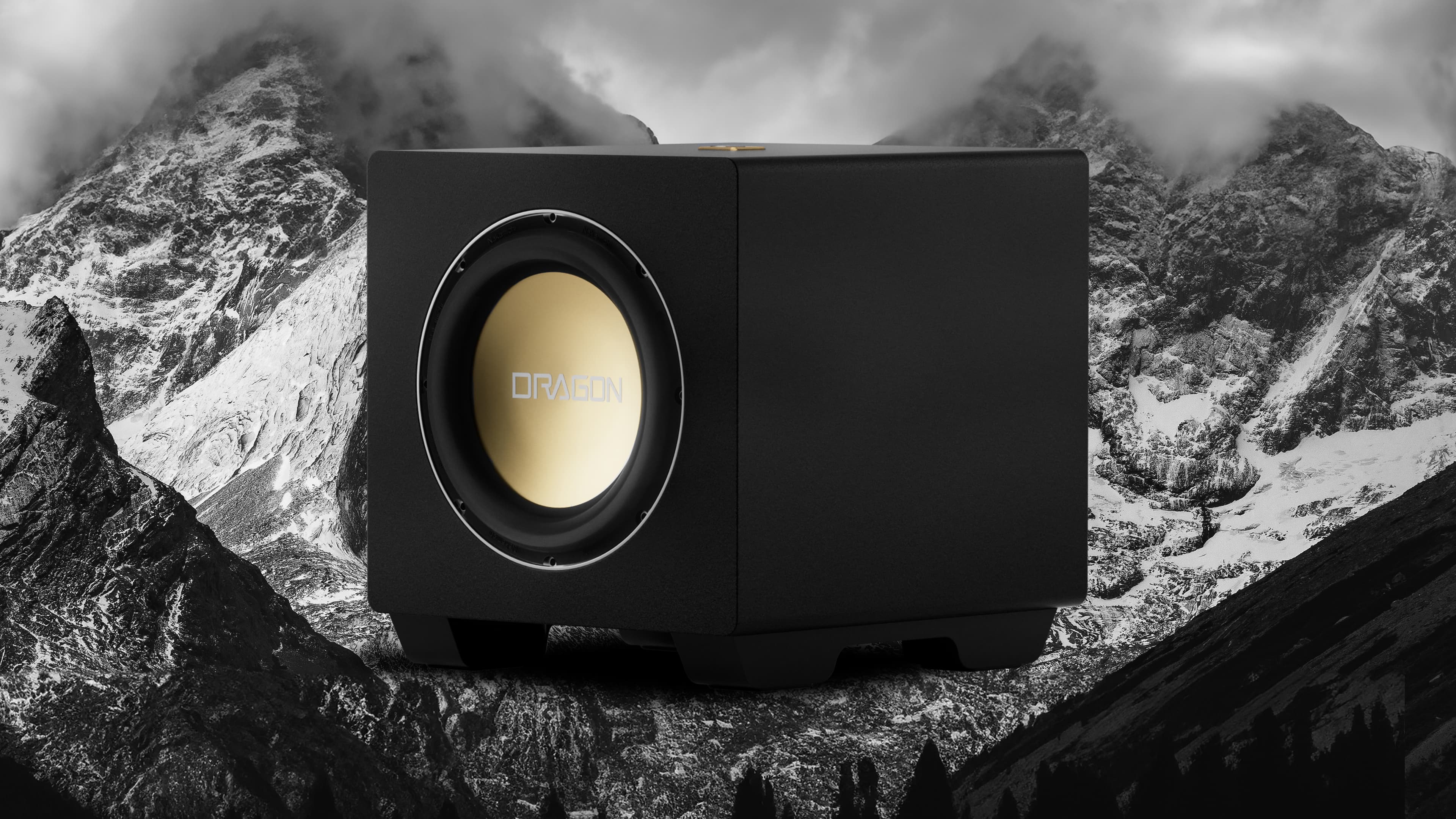 Modular 12 subwoofer image
