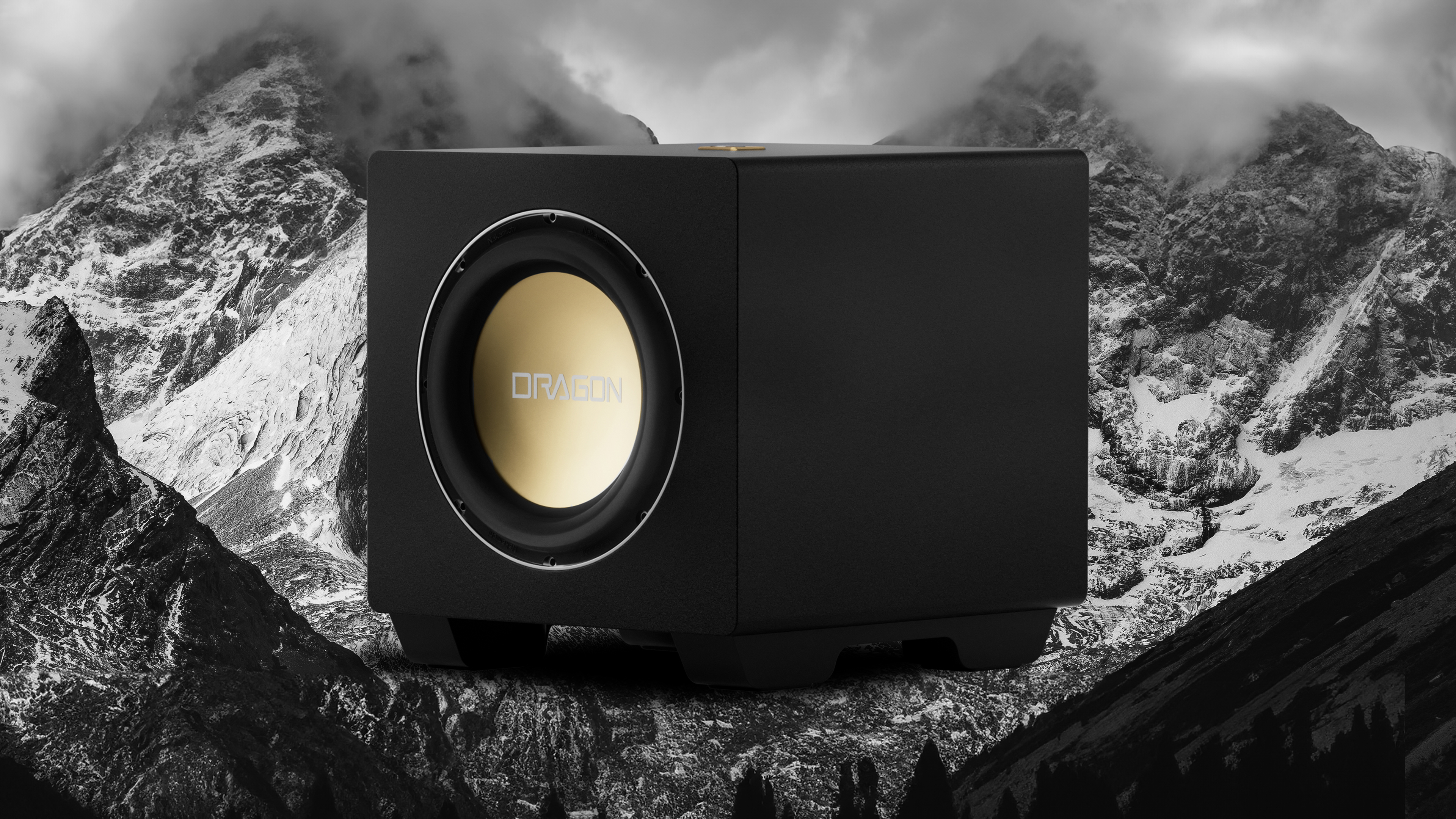 Nakamichi DRAGON | Modular 12